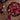 Organic Rose Petals – 8g, Culinary Floral Spice Brooklane
