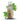 Bottle of Brooklane Camphor Oil with green leaves on a white background