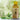 Bottle of Brooklane Olive Oil with olive leaves on a blurred green background
