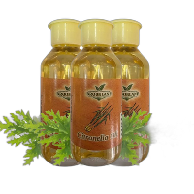 Pack of 3