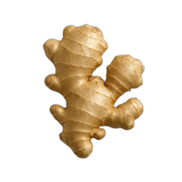 Ginger