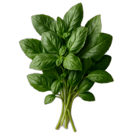 Herbs