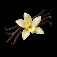 Vanilla